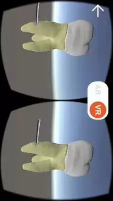 Play eHuman VR/AR Play eHuman VR/AR