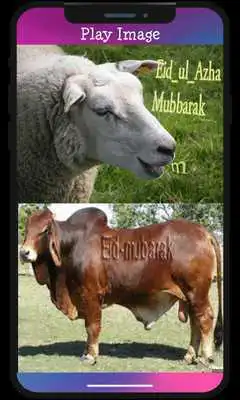 Play Eid Al Adha  Gif Animations 2018