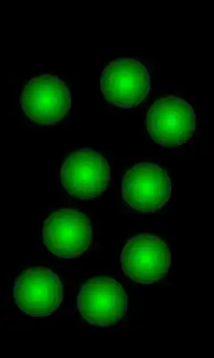 Play Einsteins Challenge Play Einsteins Challenge