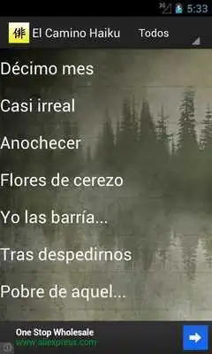 Play El Camino Haiku