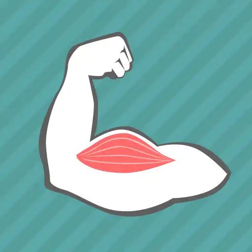 Play E. Learning Muscles Puzzle APK Play E. Learning Muscles Puzzle APK
