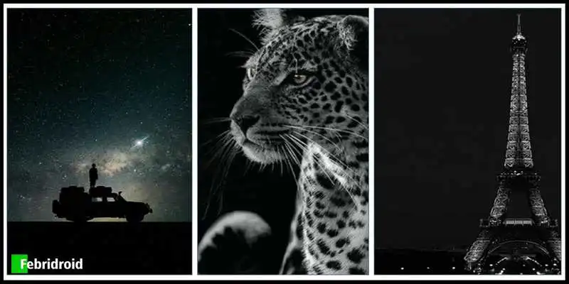 Play Elegant Dark Wallpaper