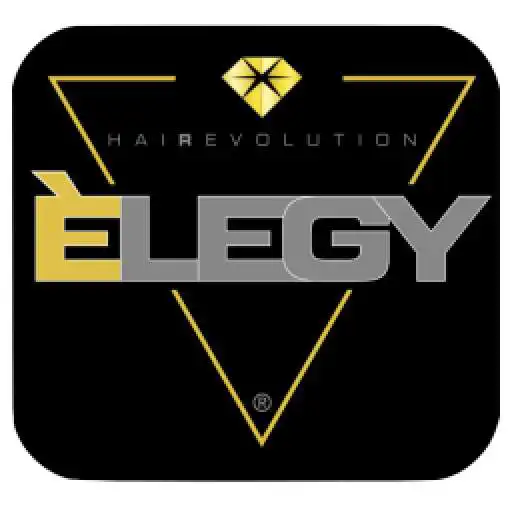 Play ELEGY UP APK