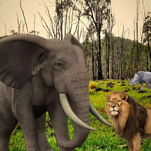 Play Elephant Attack Simulator APK