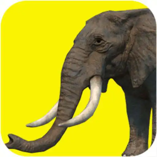 Free play online Elephant Games Free APK
