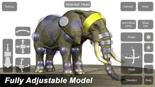 Play Elephant Mannequin