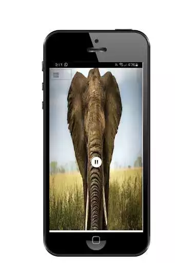 Play Elephant Sound  and enjoy Elephant Sound with UptoPlay