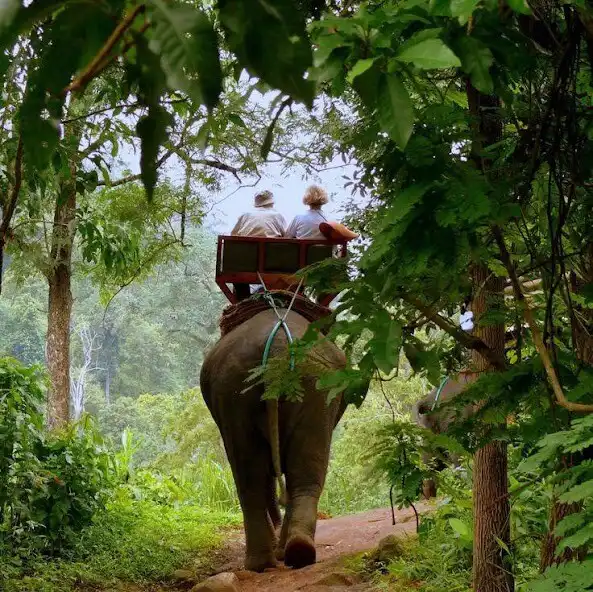 Play Elephants Wallpapers HD as an online game Elephants Wallpapers HD with UptoPlay