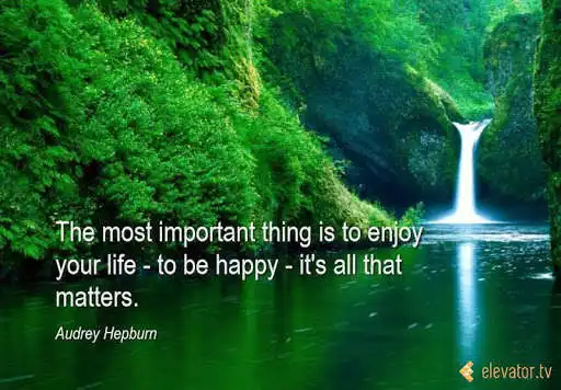 Play elevator.tv digital signage  and enjoy elevator.tv digital signage with UptoPlay