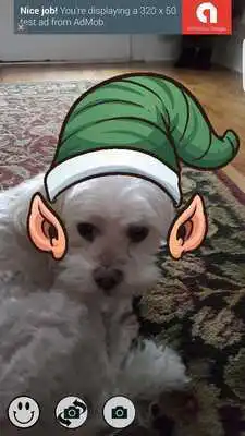 Play Elf Face