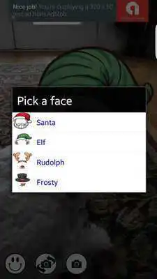 Play Elf Face