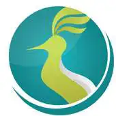 Free play online Elhodhod Live APK Free play online Elhodhod Live APK