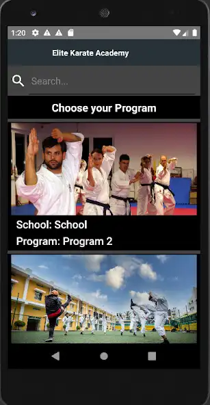Play Elite Karate Academy as an online game Elite Karate Academy with UptoPlay
