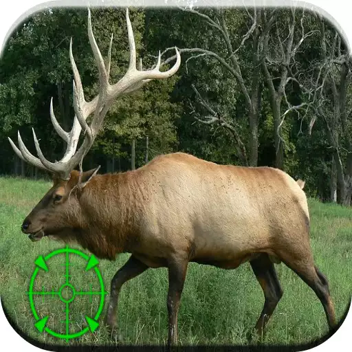 Play Elk hunting calls APK
