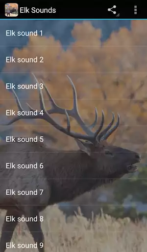 Play Elk Sounds as an online game Elk Sounds with UptoPlay