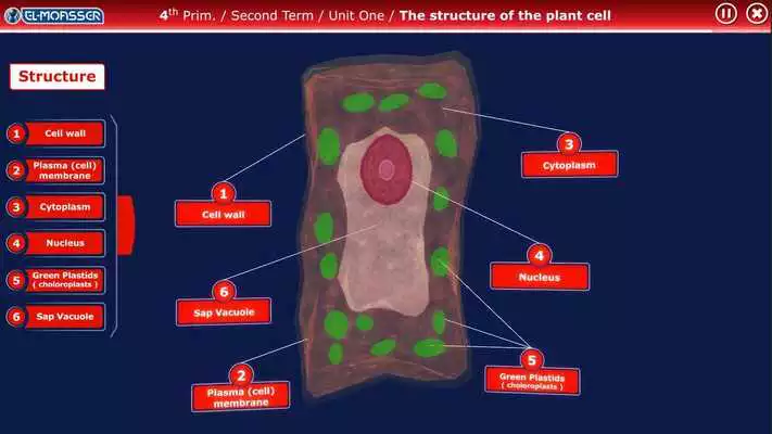 Play El-Moasser Plant Cell 3D