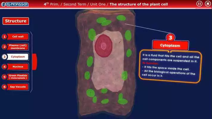 Play El-Moasser Plant Cell 3D