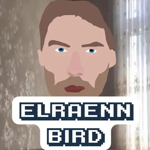 Play Elraenn Bird APK