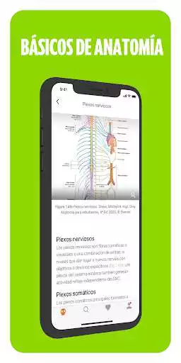 Play Elsevier SurviveMed as an online game Elsevier SurviveMed with UptoPlay