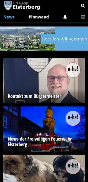 Play Elsterberg as an online game Elsterberg with UptoPlay
