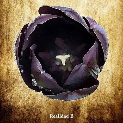 Play EL TULIPÁN NEGRO - LIBRO GRATI APK