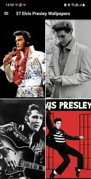 Play Elvis Presley HD Wallpapers  and enjoy Elvis Presley HD Wallpapers with UptoPlay
