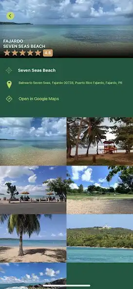 Play El Yunque App as an online game El Yunque App with UptoPlay