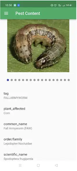 Play EMIR as an online game EMIR with UptoPlay