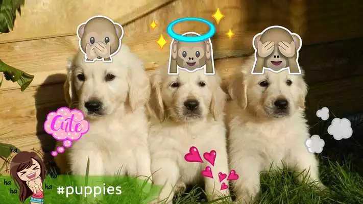 Play Emoji Photo 2018
