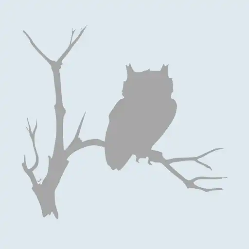 Play Empowered Soul APK