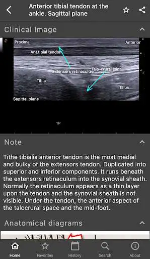 Play eMSK as an online game eMSK with UptoPlay