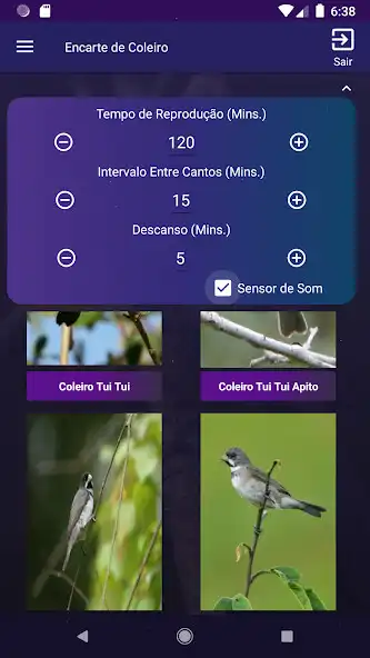 Play Encarte de Coleiro and enjoy Encarte de Coleiro with UptoPlay Play Encarte de Coleiro and enjoy Encarte de Coleiro with UptoPlay