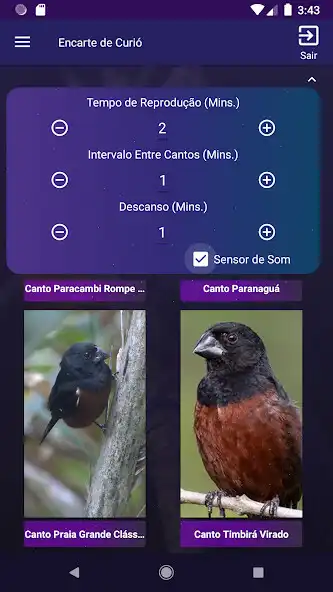 Play Encarte de Curió  and enjoy Encarte de Curió with UptoPlay