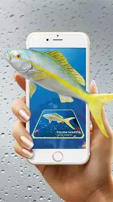 Play Enchanted Gallery-Fish 4D Play Enchanted Gallery-Fish 4D