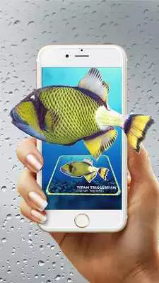 Play Enchanted Gallery-Fish 4D Play Enchanted Gallery-Fish 4D