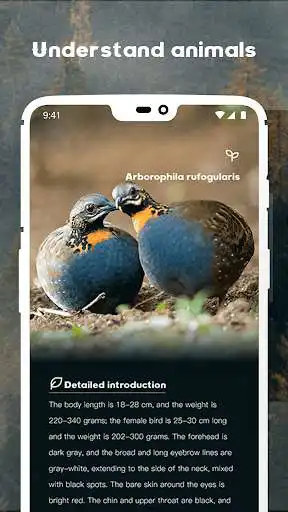 Play Encyclopedia of Animal Protection  and enjoy Encyclopedia of Animal Protection with UptoPlay