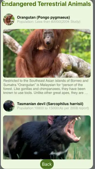 Play endangered Animals by lina as an online game endangered Animals by lina with UptoPlay