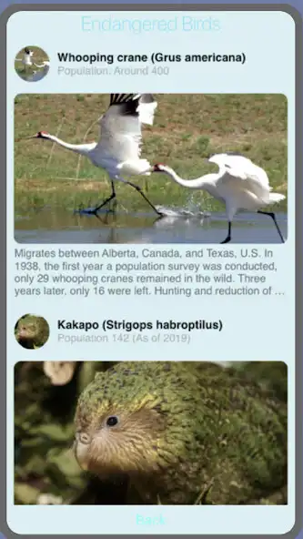 Play Endangered Animals by Majaro as an online game Endangered Animals by Majaro with UptoPlay