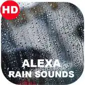 Free play online Endearing Rain Sounds APK