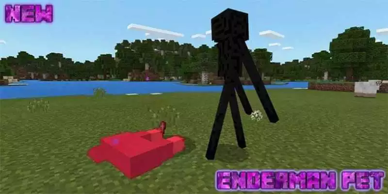 Play Ender Pet Add-on for MCPE