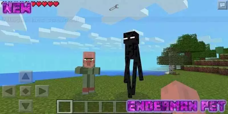 Play Ender Pet Add-on for MCPE