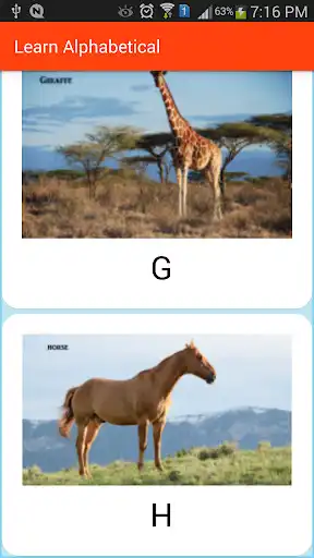 Play English Alphabetical for Kids  and enjoy English Alphabetical for Kids with UptoPlay