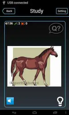 Play English - Basque flashcards