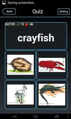 Play English - Basque flashcards