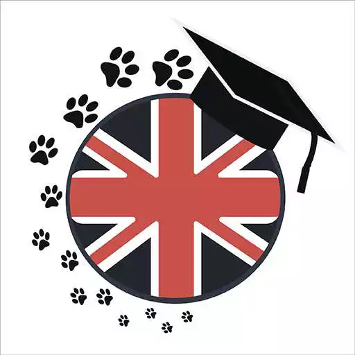 Free play online English Confused Words APK Free play online English Confused Words APK