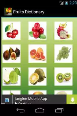 Play English Fruits Dictionary