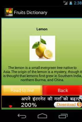 Play English Fruits Dictionary