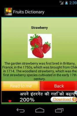 Play English Fruits Dictionary