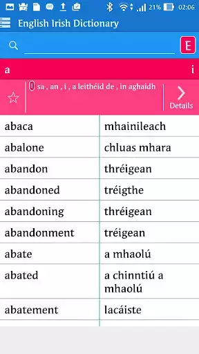 Play English Irish Dictionary