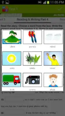 Play English Movers 2 - YLE Test
